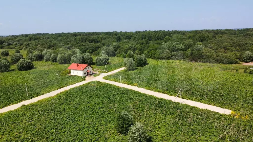 Купить Участок Новая Ропша Ломоносовский Район