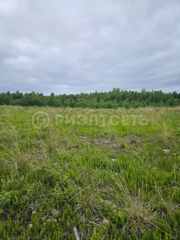 Участок в Мурманская область, Кола  (14.0 сот.) - Фото 0