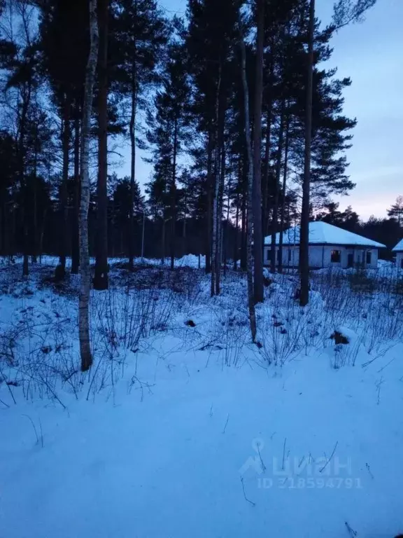 Участок в Ленинградская область, Шлиссельбург Кировский район, ... - Фото 0