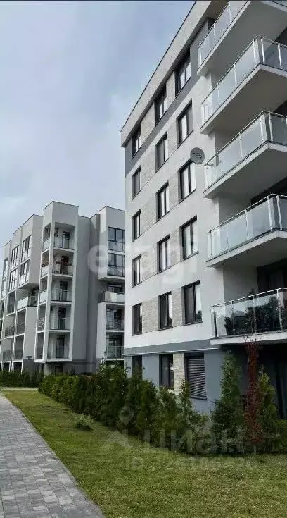 1-к кв. Калининградская область, Светлогорск Ольховая ул., 19к2 (46.3 ... - Фото 2