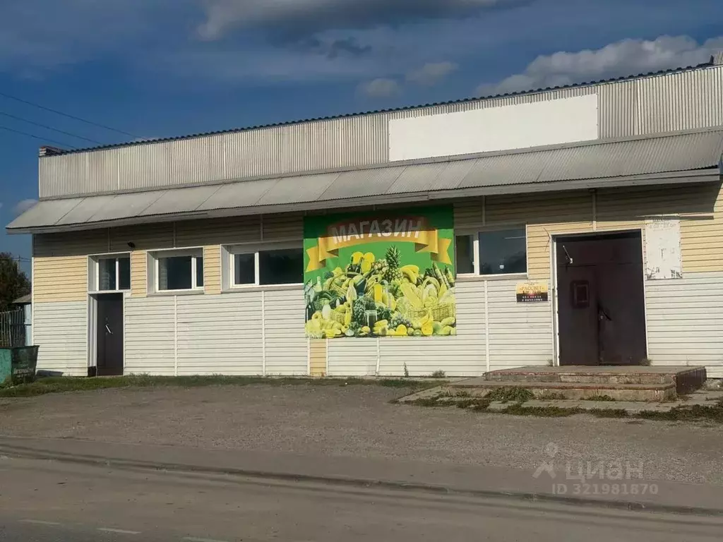 Помещение свободного назначения в Новосибирская область, Сузун рп ул. ... - Фото 1