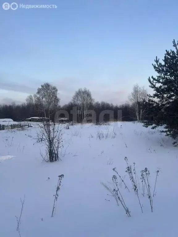 Участок в Томск, садовое товарищество Связист 4 (5 м) - Фото 1