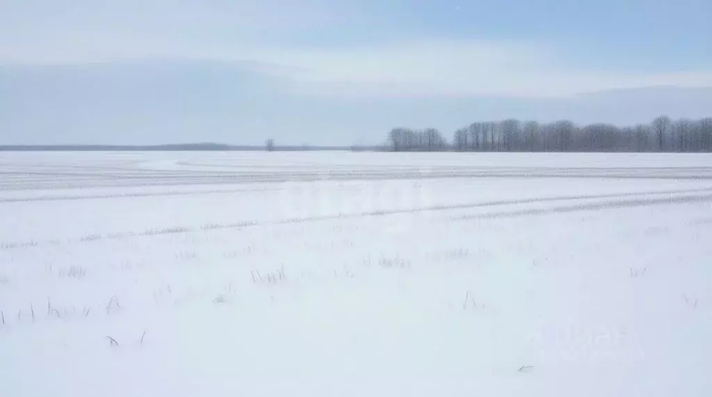 Участок в Тульская область, Новомосковск Сокольники мкр,  (15.0 сот.) - Фото 2