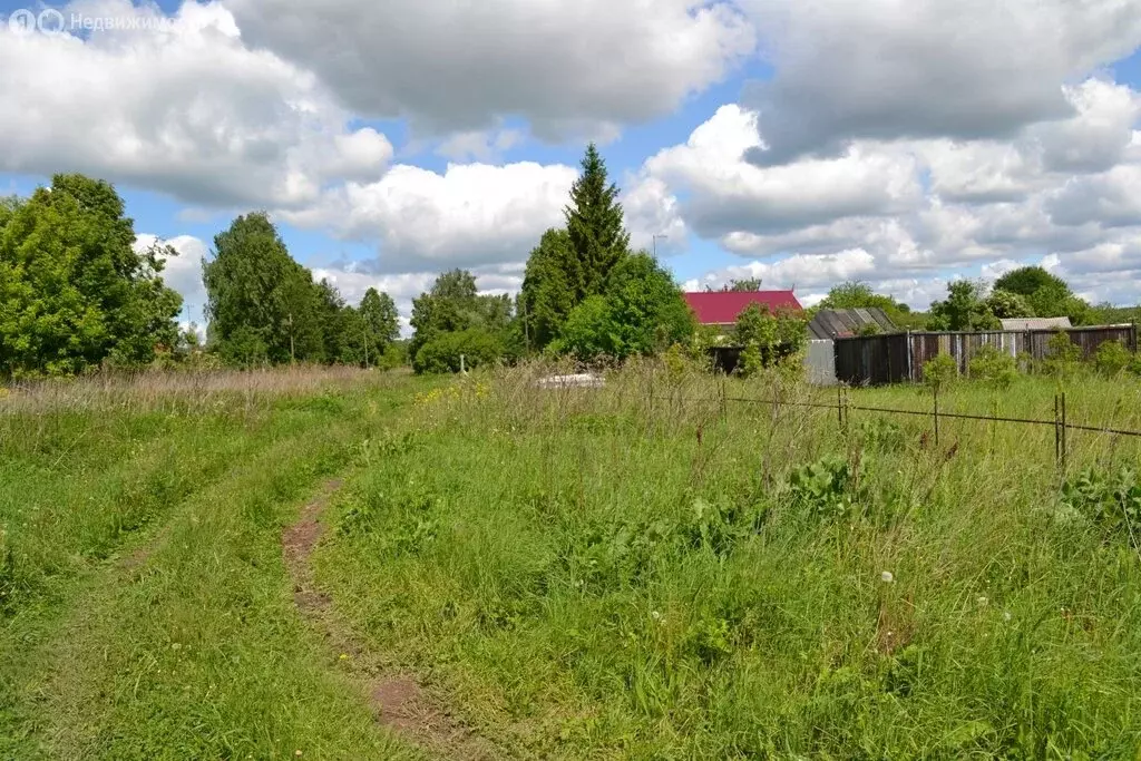 Участок в Нижегородская область, Богородский муниципальный округ, ... - Фото 1