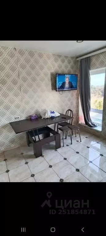 1-к кв. Краснодарский край, Сочи городской округ, с. Раздольное ул. ... - Фото 2