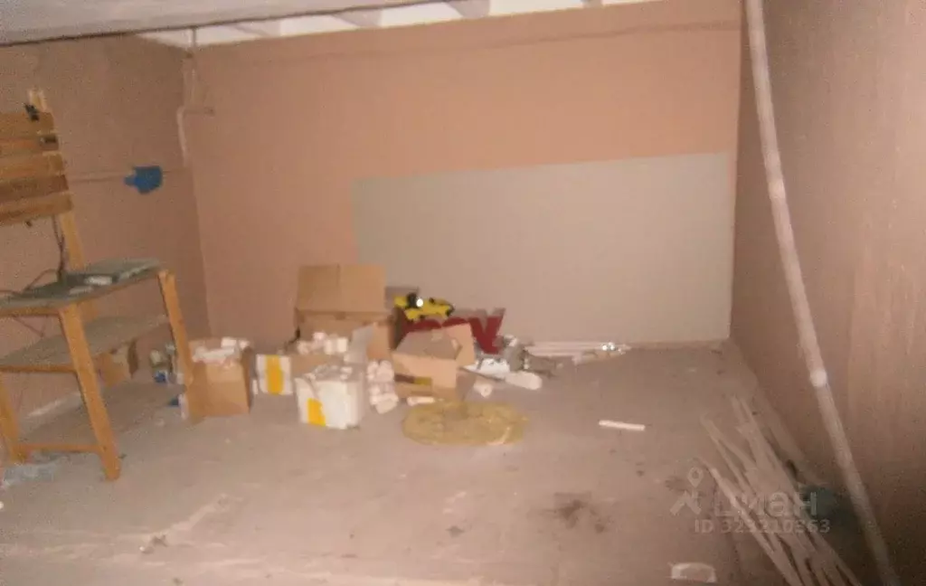 Помещение свободного назначения в Новосибирская область, Новосибирск ... - Фото 1