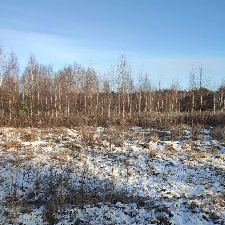 Участок в Московская область, Павлово-Посадский городской округ, д. ... - Фото 1