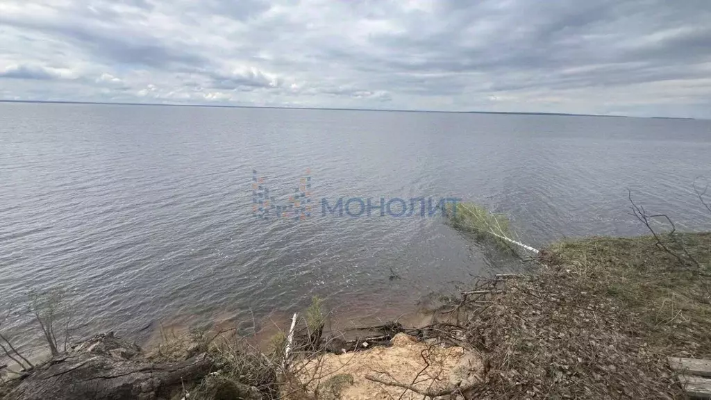 Участок в Нижегородская область, Сокольский городской округ, д. ... - Фото 0