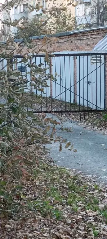 Гараж в Свердловская область, Екатеринбург ул. Черняховского, 52В (18 ... - Фото 1