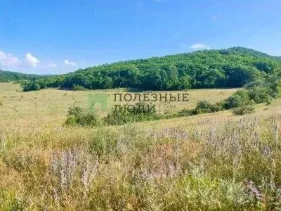 Участок в Севастополь с. Верхнесадовое,  (8.4 сот.) - Фото 0