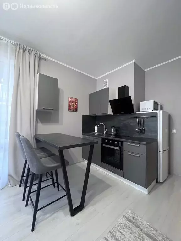 Квартира-студия: Санкт-Петербург, Арцеуловская аллея, 19 (27.3 м) - Фото 1