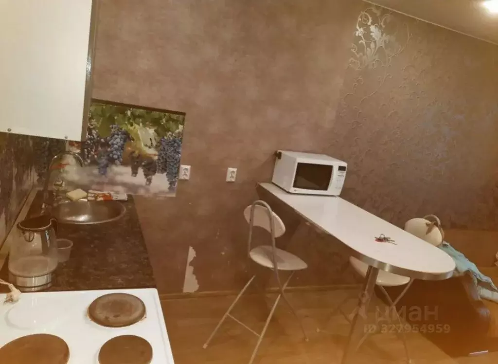 Студия Новосибирская область, Новосибирск ул. Забалуева, 88 (22.0 м) - Фото 1