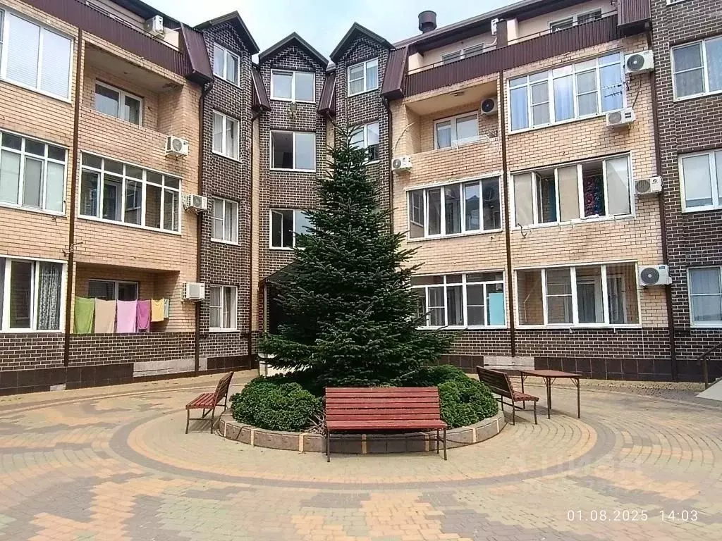 2-к кв. Краснодарский край, Туапсинский муниципальный округ, Джубга ... - Фото 2