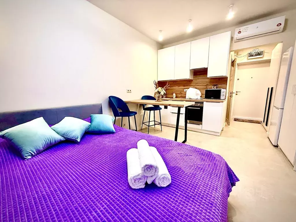 Студия Московская область, Одинцово ул. Березовая, 1 (27.0 м) - Фото 1