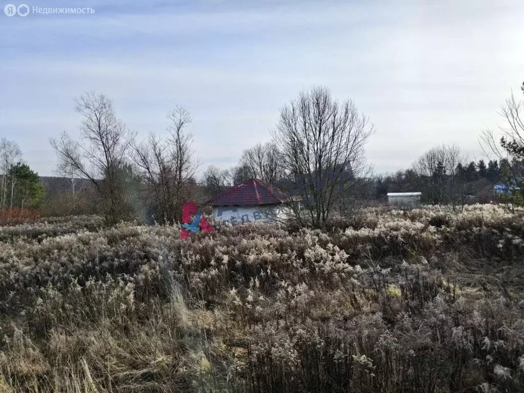 Участок в Тульская область, Венёвский муниципальный округ, деревня ... - Фото 1