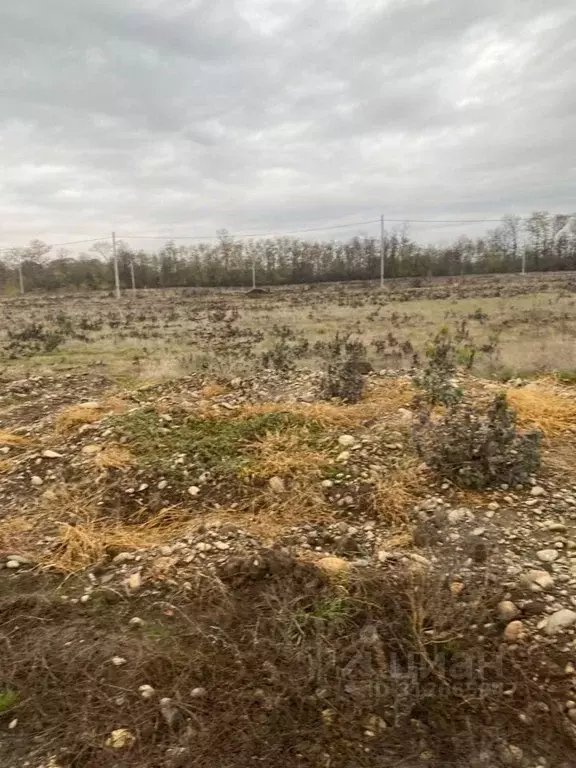 Участок в Адыгея, Майкоп городской округ, пос. Западный ул. Полевая ... - Фото 0