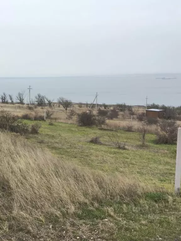 Участок в Крым, Ленинский район, Глазовское с/пос, Маяк СНТ  (24.0 ... - Фото 2