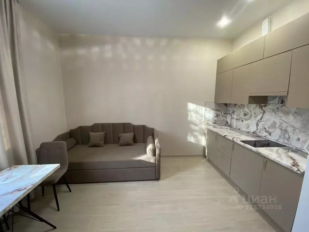 Студия Московская область, Химки Сходня мкр, ул. Ватутина, 2 (25.0 м) - Фото 2