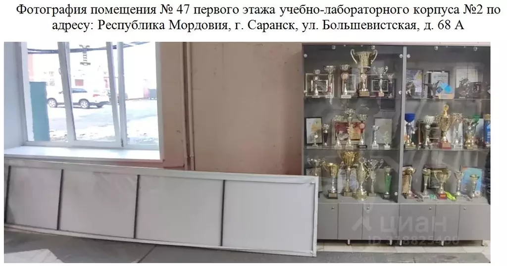 Помещение свободного назначения в Мордовия, Саранск Большевистская ... - Фото 1