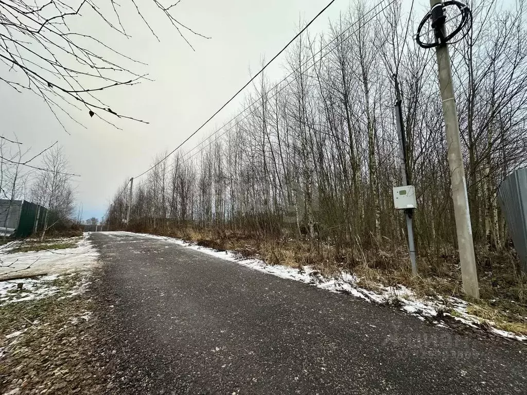 Участок в Московская область, Дмитровский муниципальный округ, ... - Фото 1