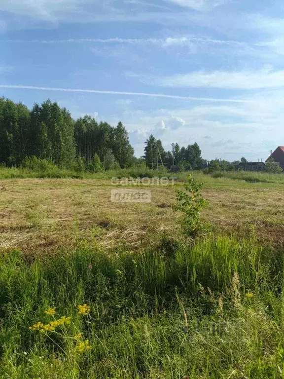 Участок в Тюменская область, Нижнетавдинский район, Геолог-2 СНТ  ... - Фото 1