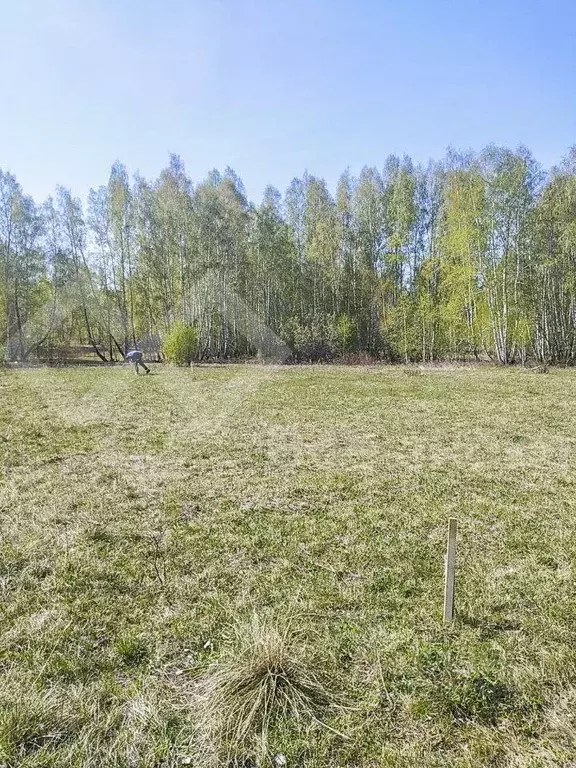 Участок в Челябинская область, Аргаяшский муниципальный округ, д. ... - Фото 1