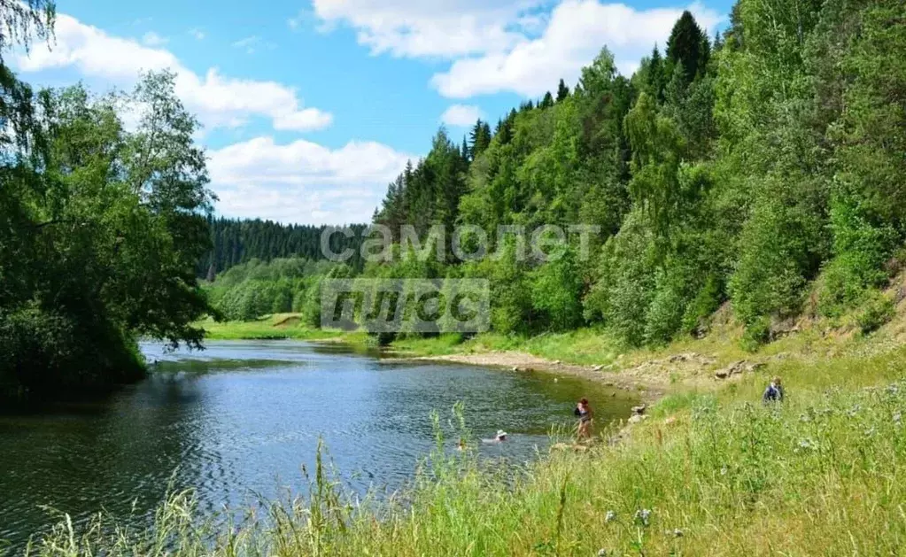 Участок в Пермский край, Березовский район, д. Токманы  (1675.69 сот.) - Фото 0