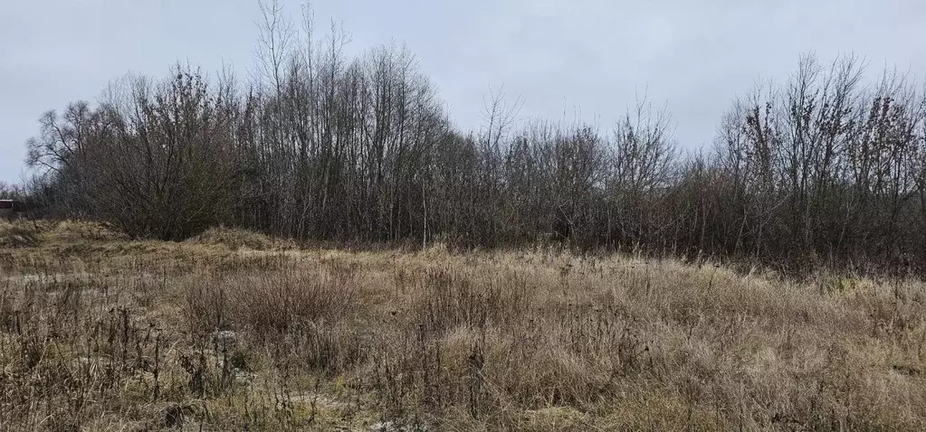 Участок в Московская область, Луховицы муниципальный округ, д. Гольный ... - Фото 1