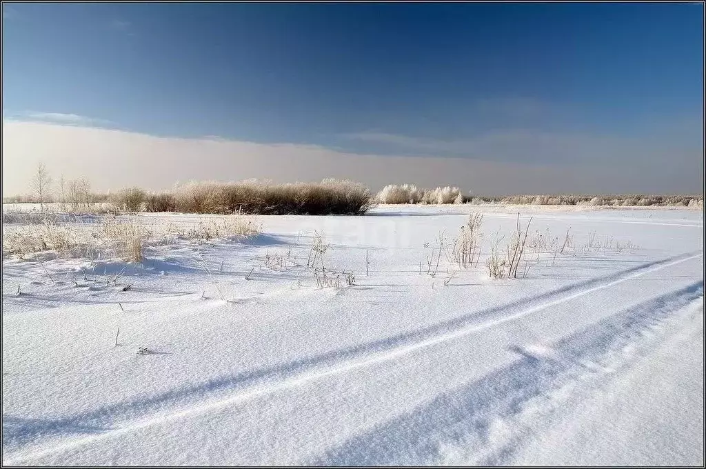 Участок в Костромская область, Кадыйский район, Селищенское с/пос, д. ... - Фото 0