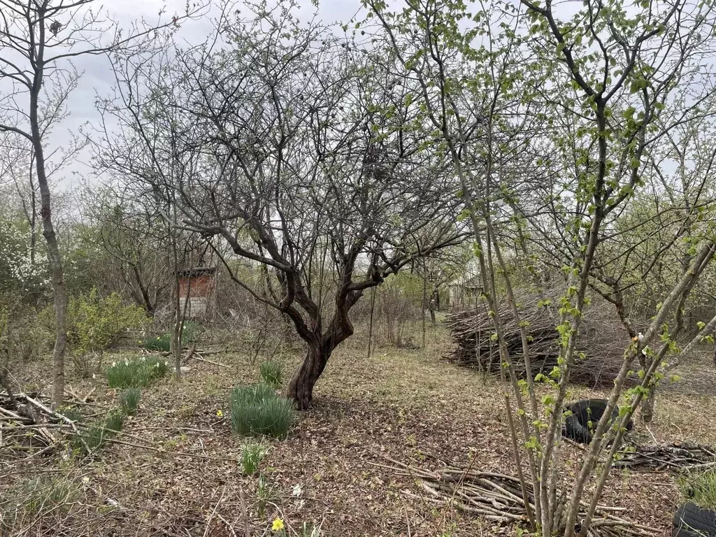 Участок в Адыгея, Майкоп Строитель СНТ, ул. Грушовая (5.0 сот.) - Фото 1