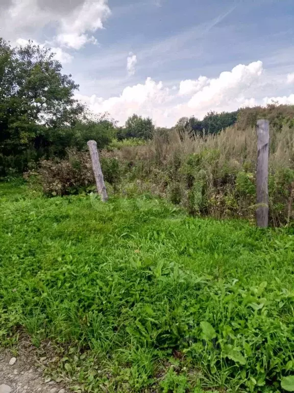 Участок в Хабаровский край, Имени Лазо район, с. Полетное ... - Фото 2