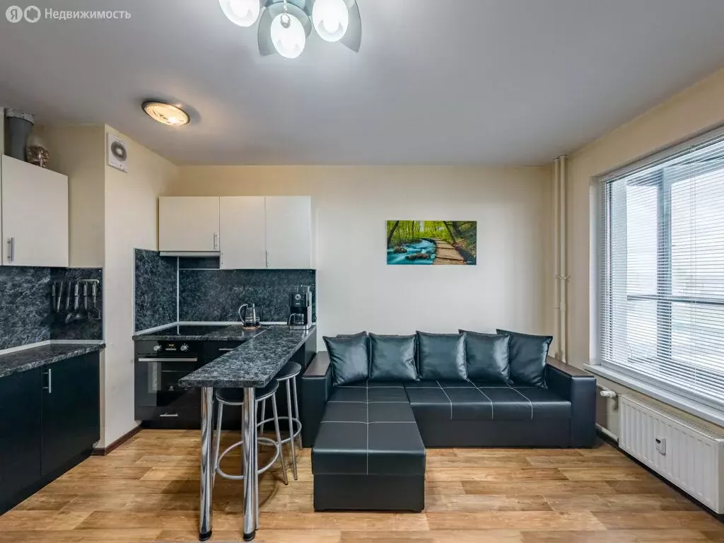 Квартира-студия: Санкт-Петербург, Кушелевская дорога, 3к1 (30.5 м) - Фото 0