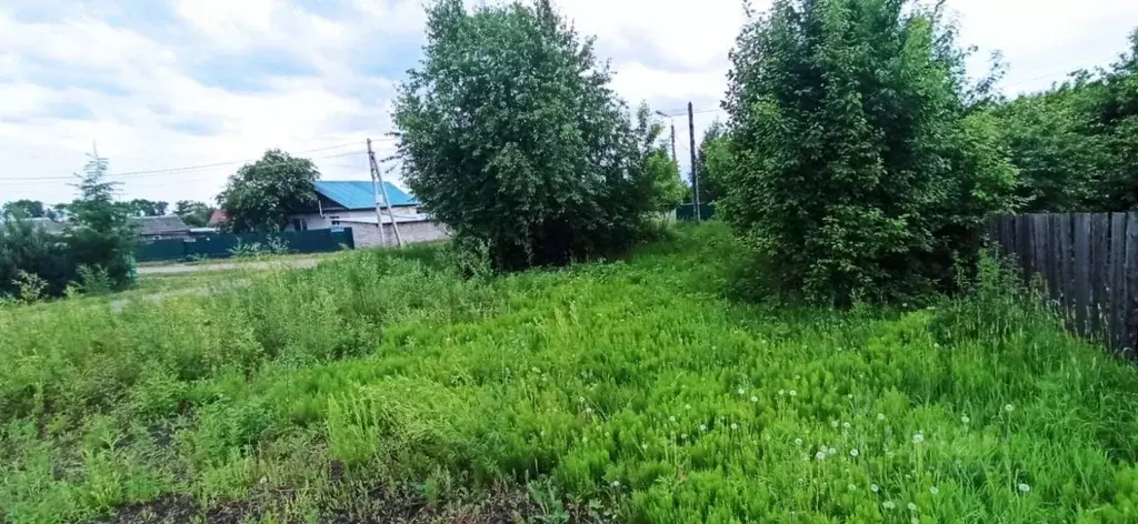 Участок в Амурская область, Белогорск ул. Леваневского (8.0 сот.) - Фото 2