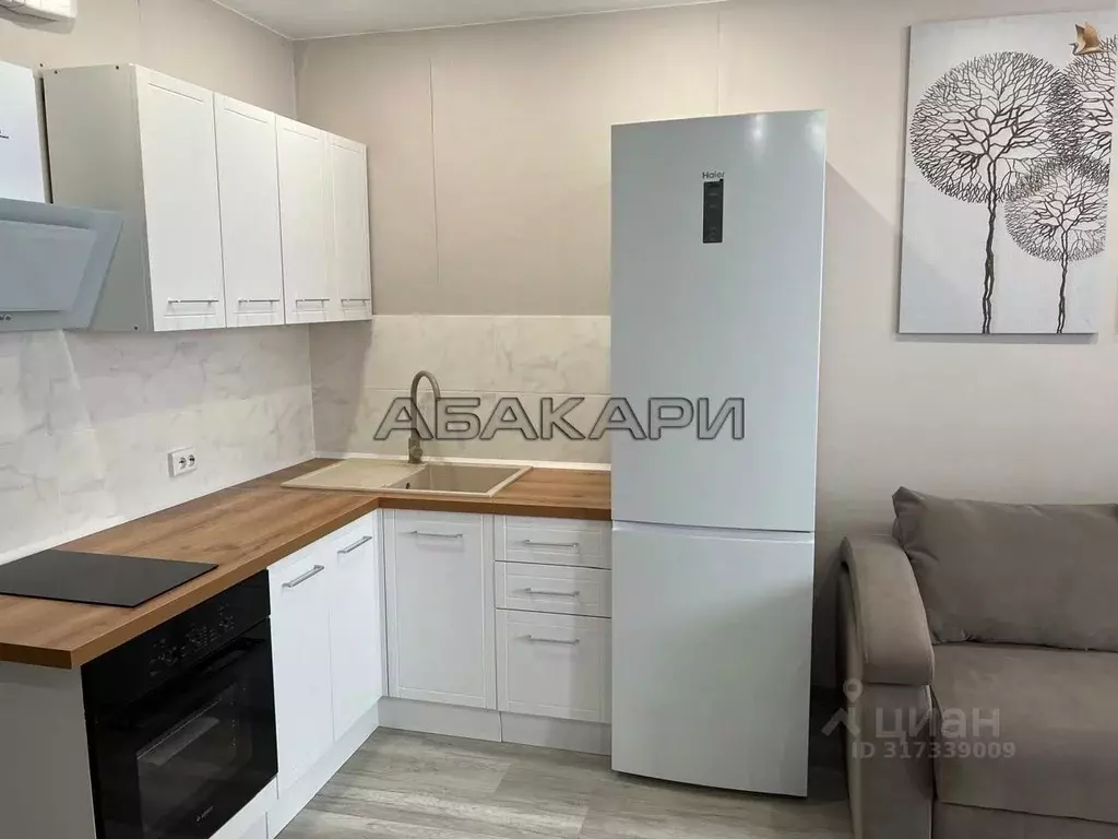 Студия Красноярский край, Красноярск Дудинская ул., 2Е (31.0 м) - Фото 1