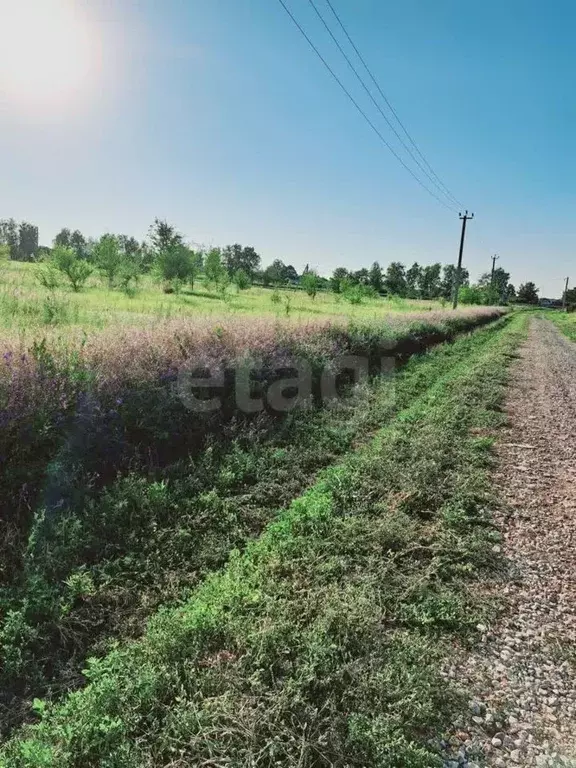 Участок в Саратовская область, Балашовский район, Хоперское ... - Фото 0