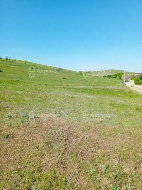Участок в Волгоградская область, Городищенский район, ... - Фото 1