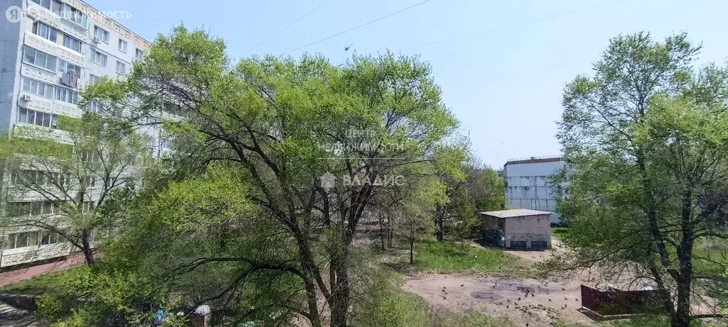 3-комнатная квартира: Арсеньев, улица Ломоносова, 72 (65.5 м) - Фото 0