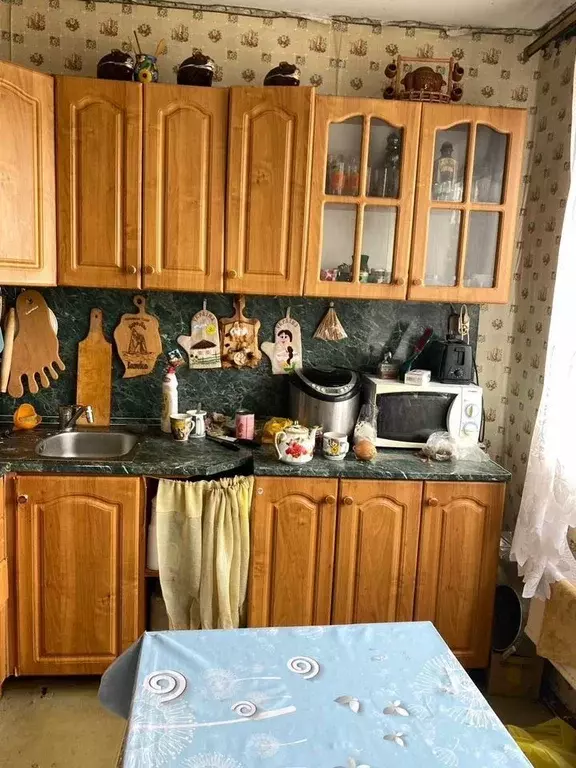 2-к кв. Ленинградская область, Лужский район, д. Ретюнь ул. ... - Фото 1
