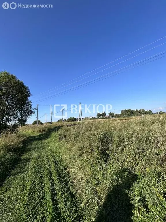 Участок в Костромской район, Шунгенское сельское поселение, деревня ... - Фото 2
