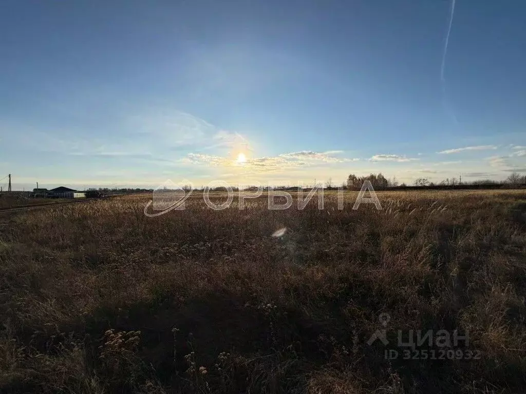 Участок в Тюменская область, Тюменский муниципальный округ, д. ... - Фото 2
