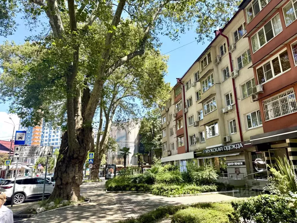 3-к кв. Краснодарский край, Сочи Центральный мкр, ул. Воровского, 20 ... - Фото 1