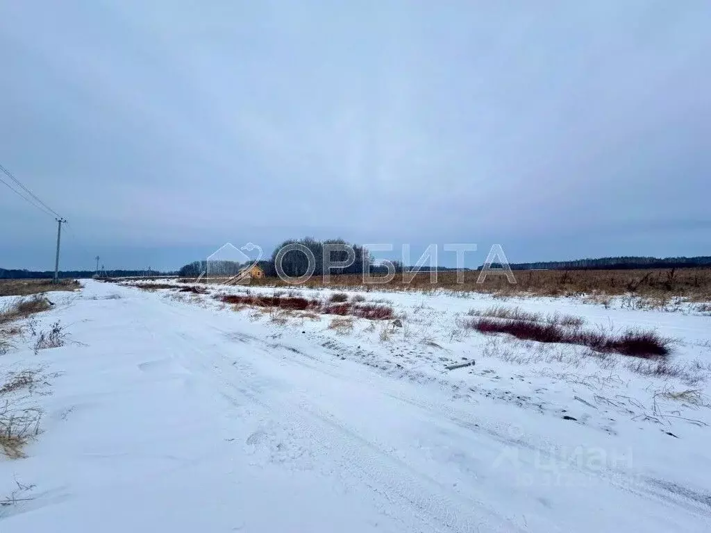 Участок в Тюменская область, Нижнетавдинский район, Сочинские СНТ 7-я ... - Фото 1