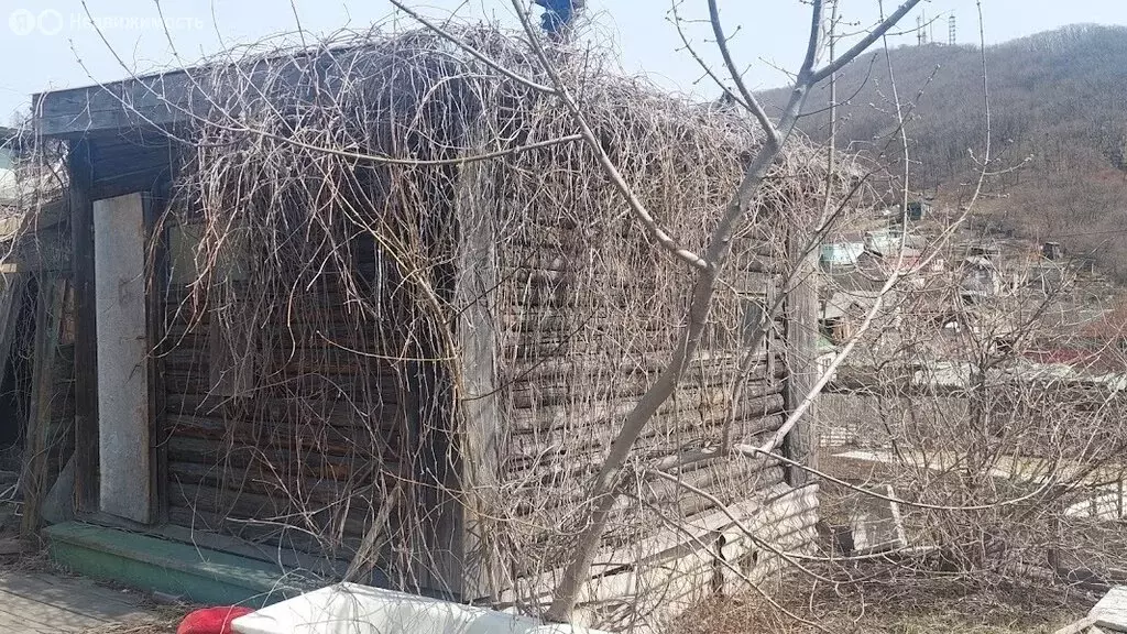 Дом в Находка, улица Дежнёва, 6 (35.6 м) - Фото 1