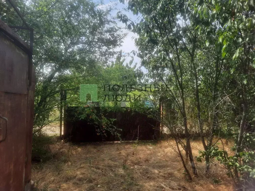 Участок в Крым, Симферопольский район, Трудовское с/пос, Здоровье СНТ  ... - Фото 1