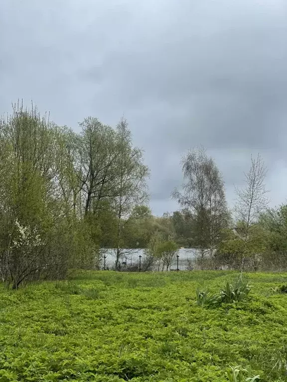 Участок в Тверская область, Кимрский муниципальный округ, д. Губин ... - Фото 1
