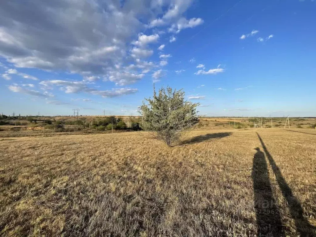 Участок в Ростовская область, Аксайский район, Мишкинское с/пос, Киров ... - Фото 1