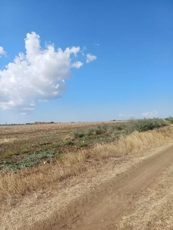 Участок в Крым, Ленинский район, с. Калиновка ул. Ленина (4.5 сот.) - Фото 1