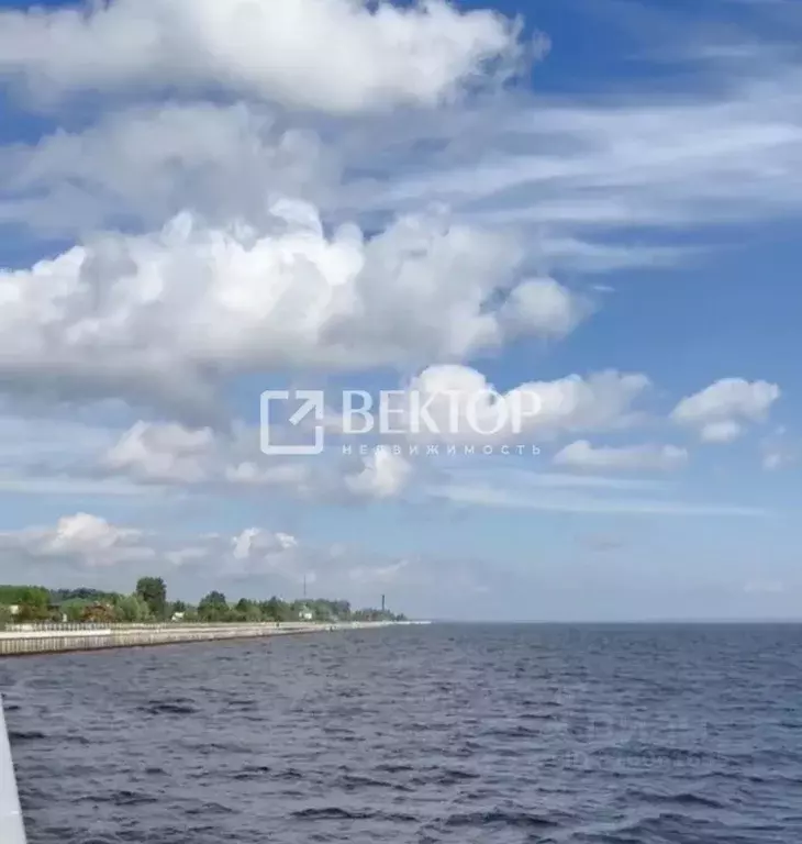 Дом в Ивановская область, Юрьевец Лесная ул., 1 (50 м) - Фото 0