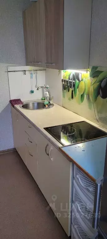 4-к кв. Челябинская область, Челябинск ул. 2-я Эльтонская, 50Б (90.0 ... - Фото 1