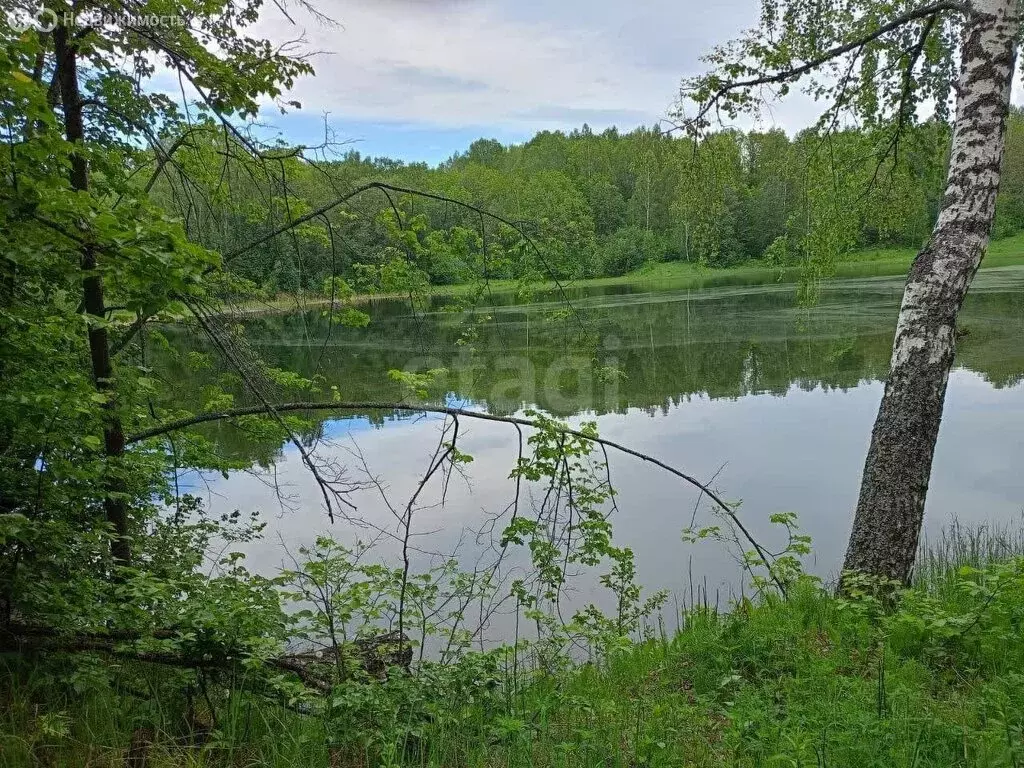 Участок в село Большие Кургузи, улица Марата Ахметшина (8.55 м) - Фото 2